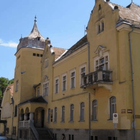 VERBALNO, FIZIČNO IN SPLETNO NASILJE MED MLADIMI