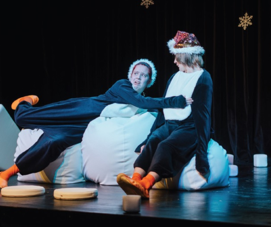 JUŽNI TEČAJ, PINGVINJI RAJ